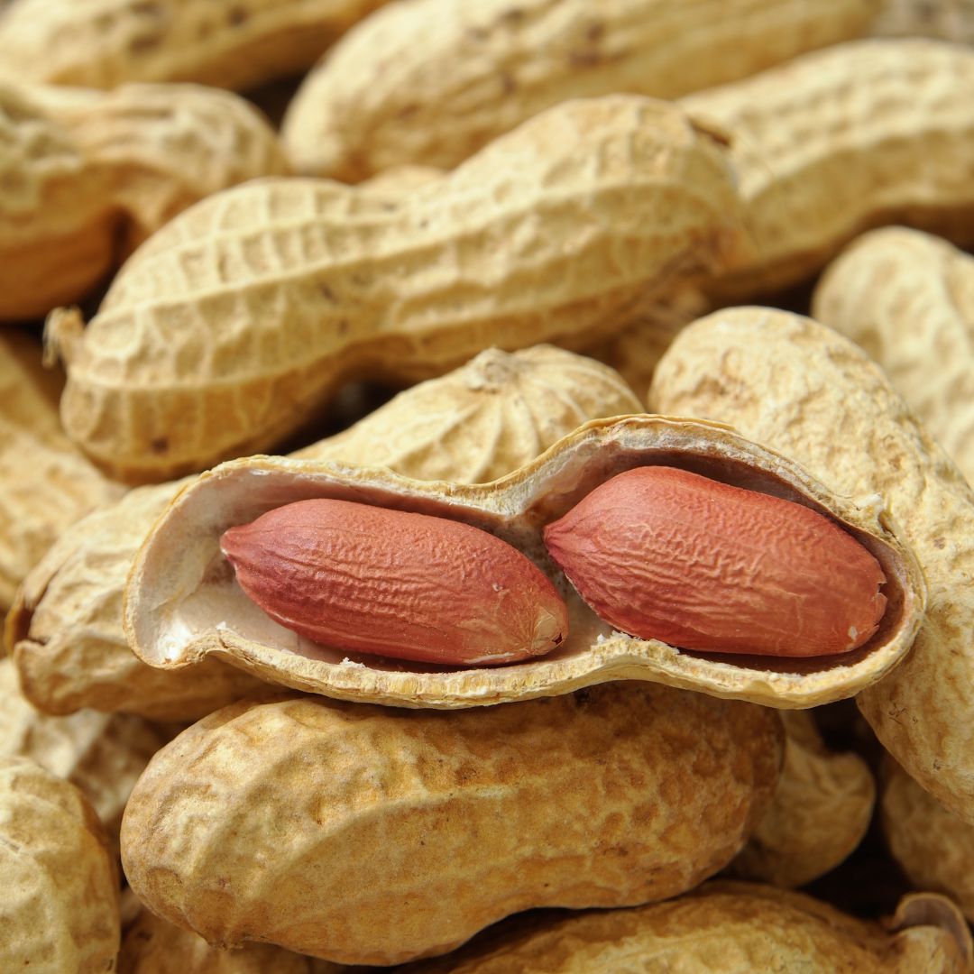 Groundnut: The Nutty Treasure